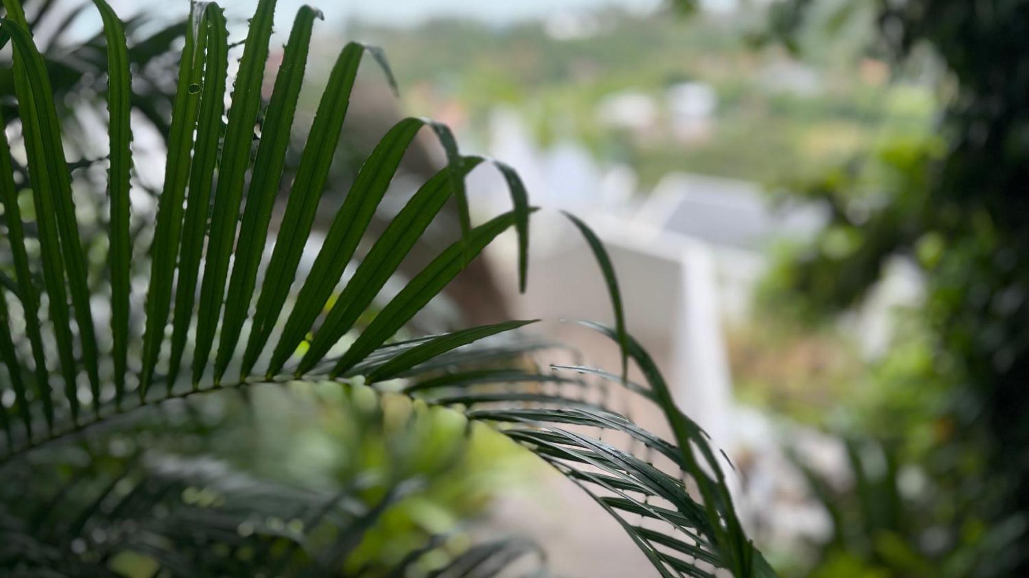 Anzhu Seamate Villa Samui Amphoe Koksamui Екстериор снимка